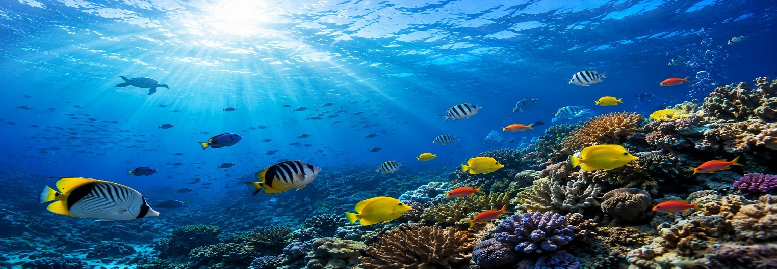 Fisheries Health